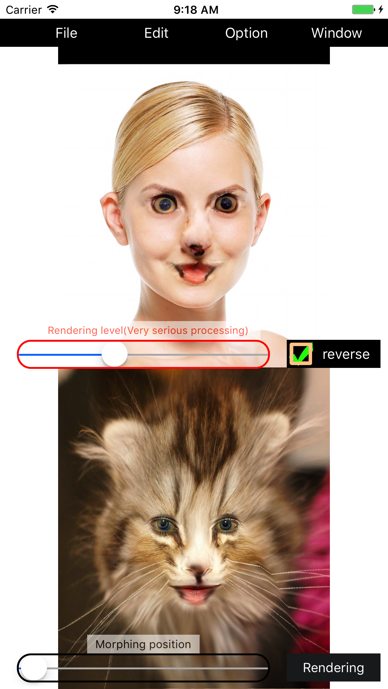 Morphing Morphing